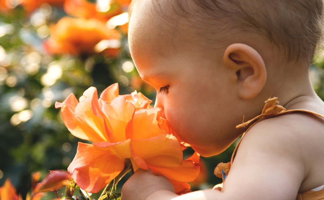 Geruchssinn des Babys: Vertraute Gerüche beruhigen