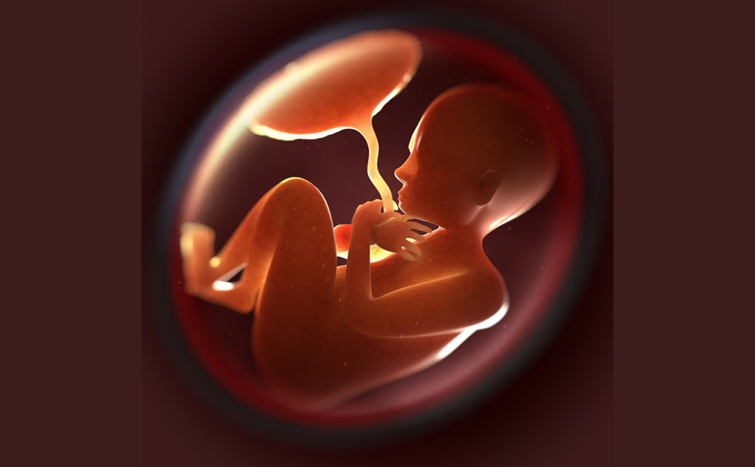 Fruchtblase: Der Lebensraum Ihres Babys während der Schwangerschaftswochen